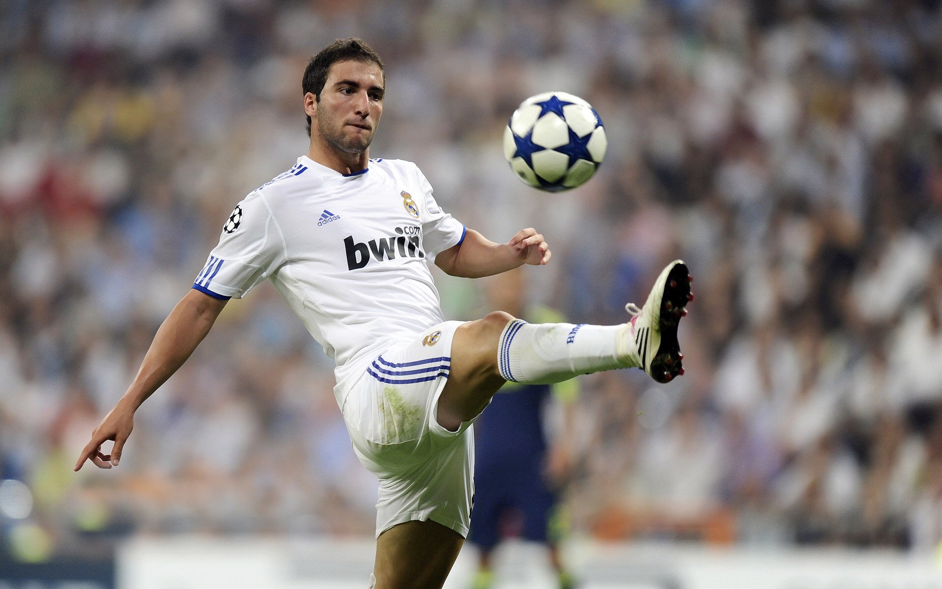 赛季终极对决:冠军争夺战全景回顾,终极对抗赛