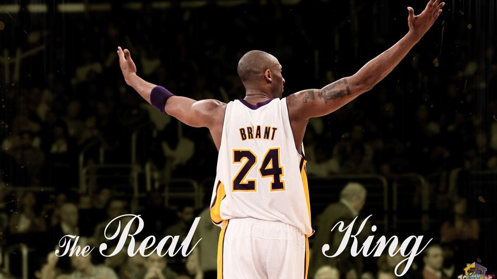 世界杯精彩盘点:瞬间、场面、瞬间激动人心,世界杯精彩集锦视频