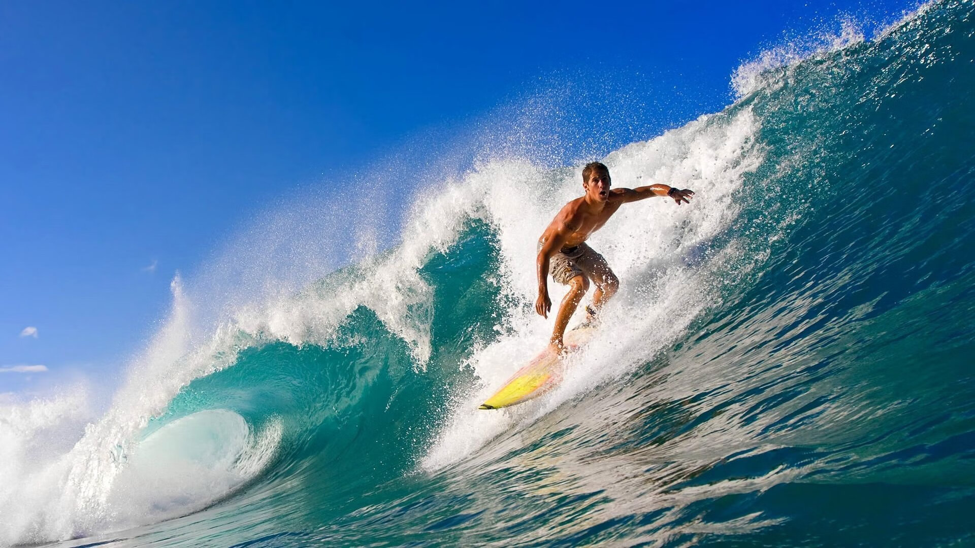 南非羚羊队的速度优势:强大的反击能力是他们最具威胁的部分,南非小羚羊